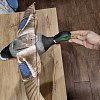 Подсадная утка Taigan Mallard летящая на пластиковом основании селезень: отзывы