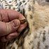 Патрон 366 ТКМ Техкрим SP 13 пуля Кион биметалл гильза биметалл: отзывы