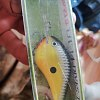 Воблер Rapala Dives-To DT14 OLSL: отзывы