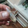 Воблер Lucky Craft Malas 694 0004 ayu: отзывы