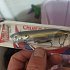 Воблер Heddon Chug'n spook JR 3,5'' 14гр foxy momma: отзывы