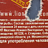 Ликвид Lion Baits Booster sweet molasses 1л: отзывы
