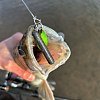 Спиннинг Champion Rods Team Dubna Generation ll TD2-902MH: отзывы