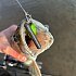 Спиннинг Champion Rods Team Dubna Generation ll TD2-902MH: отзывы