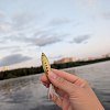 Блесна Riverzone Malyusk 10гр 52мм gold: отзывы