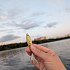 Блесна Riverzone Malyusk 10гр 52мм gold: отзывы