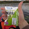 Блесна Riverzone Tadpole 15гр 60мм gold: отзывы
