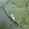 Блесна Riverzone Pike Fighter 2,5гр 29мм silver: отзывы