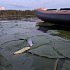 Блесна Riverzone Live Bait 10гр 53мм gold: отзывы