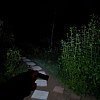 Фонарь Pereval BT-FL3091 150 Lumens: отзывы