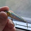 Воблер Lucky Craft NW Pencil 52 192 MS japan shad: отзывы