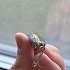 Воблер Lucky Craft NW Pencil 52 192 MS japan shad: отзывы