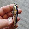 Воблер Lucky Craft NW Pencil 68 270 MS american shad: отзывы