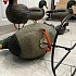 Подсадная утка Taigan Mallard кряква селезень на стальном основании: отзывы