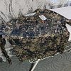 Лонгслив Taigan Shadow Waterfowl: отзывы