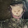 Панама Taigan Military camo green: отзывы