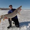 Леска Riverzone Invisible FC 0,8 50м: отзывы