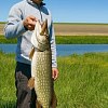 Леска Riverzone Invisible FC 1,0 50м: отзывы