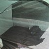Палатка PerevalPro Discovery Dome 4: отзывы