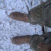 Ботинки Taigan Capra Thinsulation 400g camo tree: отзывы