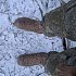 Ботинки Taigan Capra Thinsulation 400g camo tree: отзывы