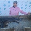 Леска Riverzone FishSplash II 150м 0,148мм 4,6lb clear: отзывы