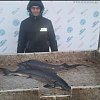 Леска Riverzone FishSplash II 150м 0,261мм 13,2lb clear: отзывы