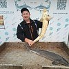 Леска Riverzone FishSplash I 150м 0,37мм 23,7lb brown: отзывы