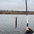 Блесна Riverzone Pike Fighter 15гр 50мм gold: отзывы