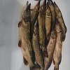 Блесна Riverzone LittleKiller 10гр 53мм silver: отзывы
