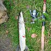 Блесна Riverzone LittleKiller 15гр 58мм silver: отзывы