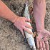 Блесна Riverzone Live Bait 10гр 53мм silver: отзывы