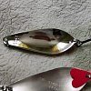 Блесна Riverzone Live Bait 15гр 61мм silver: отзывы