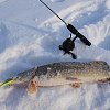 Балансир Rapala W09/BYR: отзывы