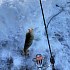 Насадка Lucky John Pro series extra blood worm XL мотыль уп.160шт: отзывы