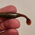 Приманка Select Crazy Shad 2.5" цв. 999 уп 6шт: отзывы
