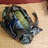 Сумка Allen Vale Waist Pack поясная Realtree кмф: отзывы