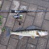 Катушка Daiwa 19 Lexa E LT 2000S: отзывы