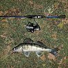 Катушка Daiwa 19 Lexa E LT 2000S: отзывы