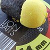 Бойлы Lion Baits pop-up Pineapple juice 14мм 25гр банка: отзывы