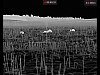 YouTube: отзывы