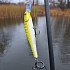 Воблер Lucky Craft Pointer 100-802 Northern Pike: отзывы