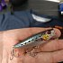 Воблер Savage Gear 3D minnow pop walker 6.6см 8гр  F sardine PHP: отзывы