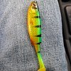Приманка Savage Gear Craft Shad 10см 6гр Firetiger Bulk 1/40: отзывы