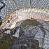 Воблер Lucky Craft Pointer 100-802 Northern Pike: отзывы