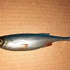 Приманка Savage Gear Craft Shad 10см 6гр Blue Pearl Bulk 1/40: отзывы