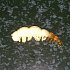 Приманка Boroda Baits Larva цв.слеза ангела 12шт: отзывы