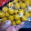 Бойлы Lion Baits ананас 20мм 5кг: отзывы