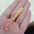 Приманка Crazy Fish Nano Minnow 2,8" 53-70-500SL-7-F: отзывы