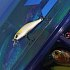 Воблер Daiwa Silver creek minnow 44S pearl ayu: отзывы